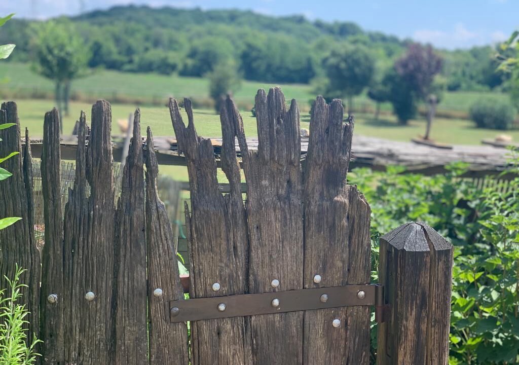 Photo of Outdoor in Simignano