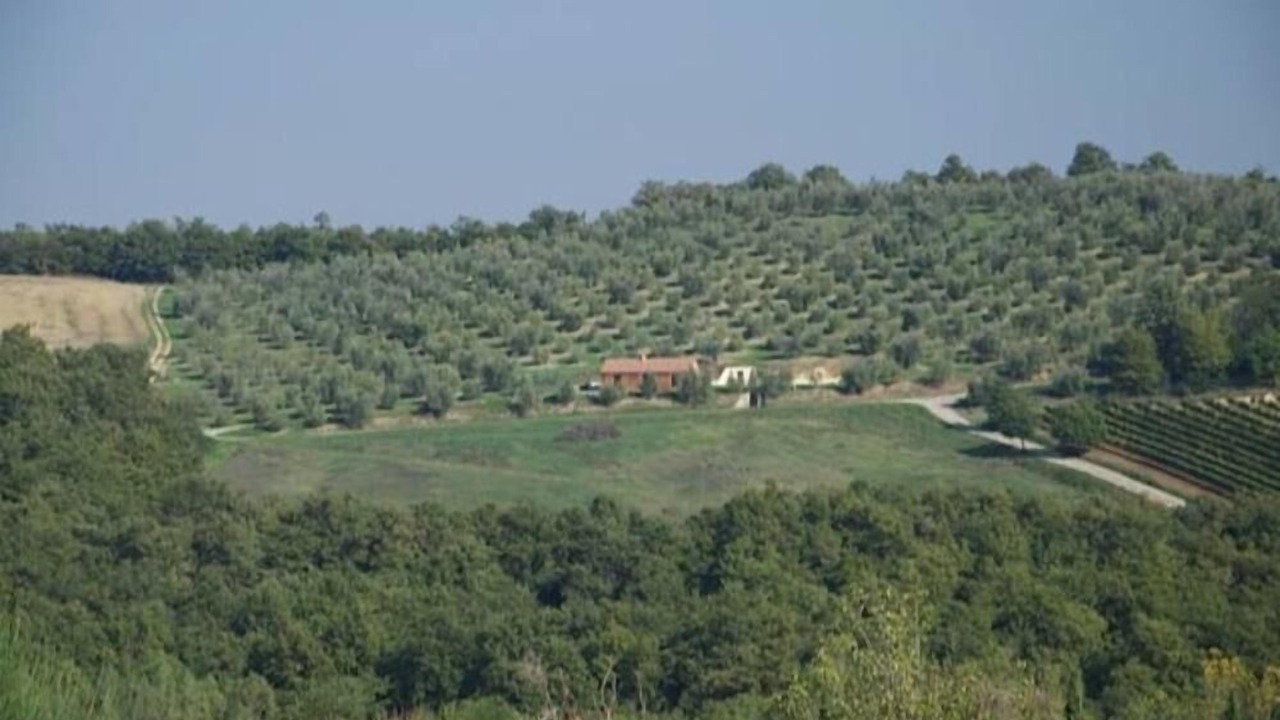 Photo of Others in Cetona