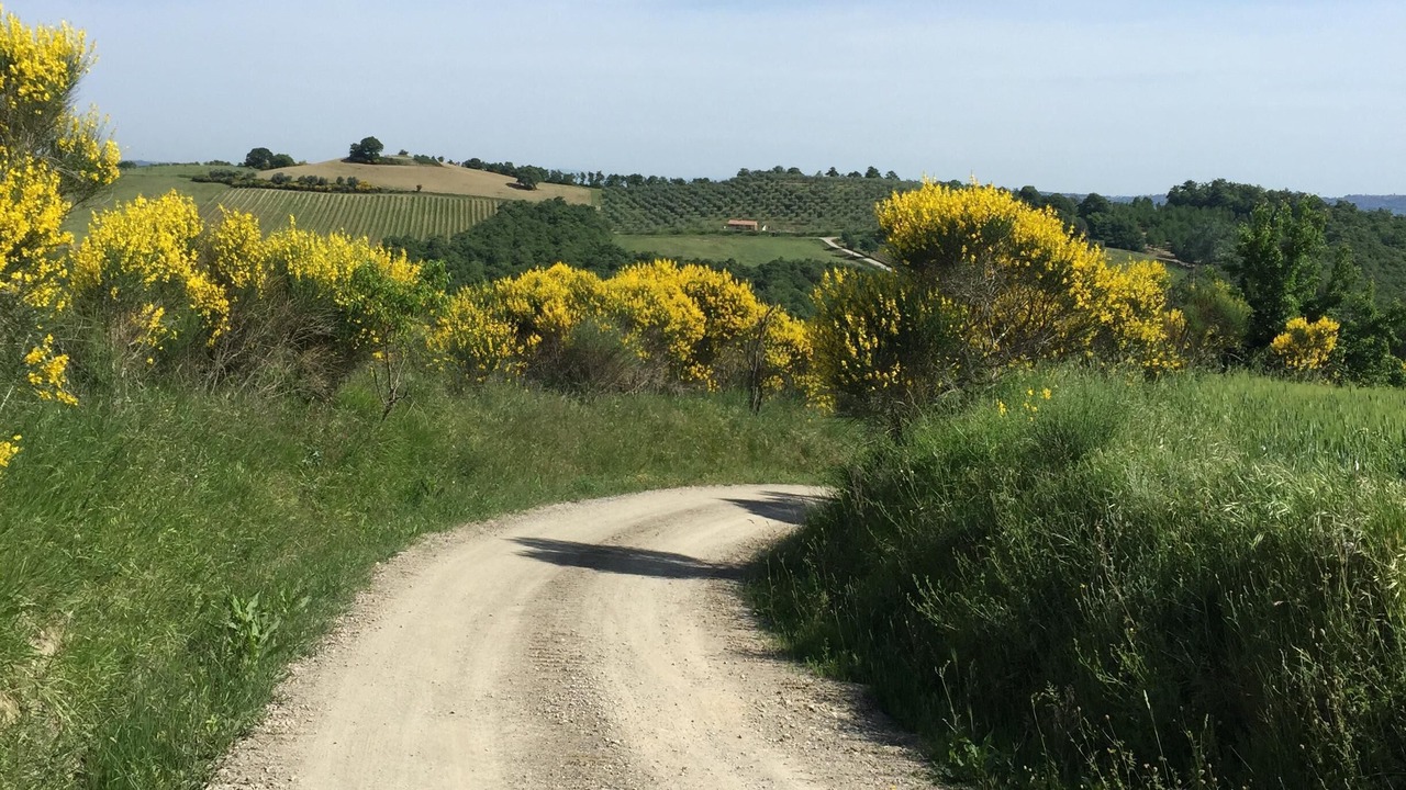Photo of Others in Cetona