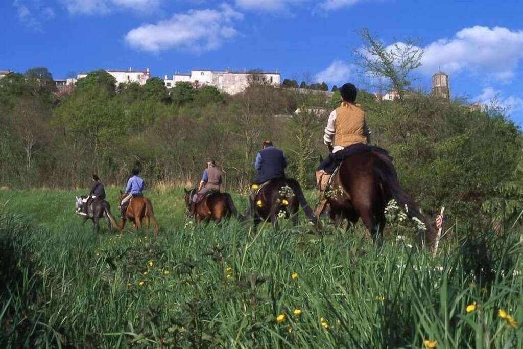 Photo of Others in Castelmoron-sur-Lot