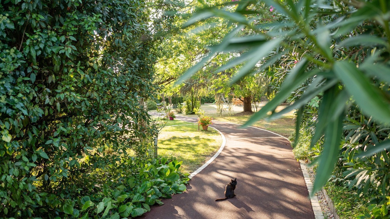 Photo of Outdoor in Velines