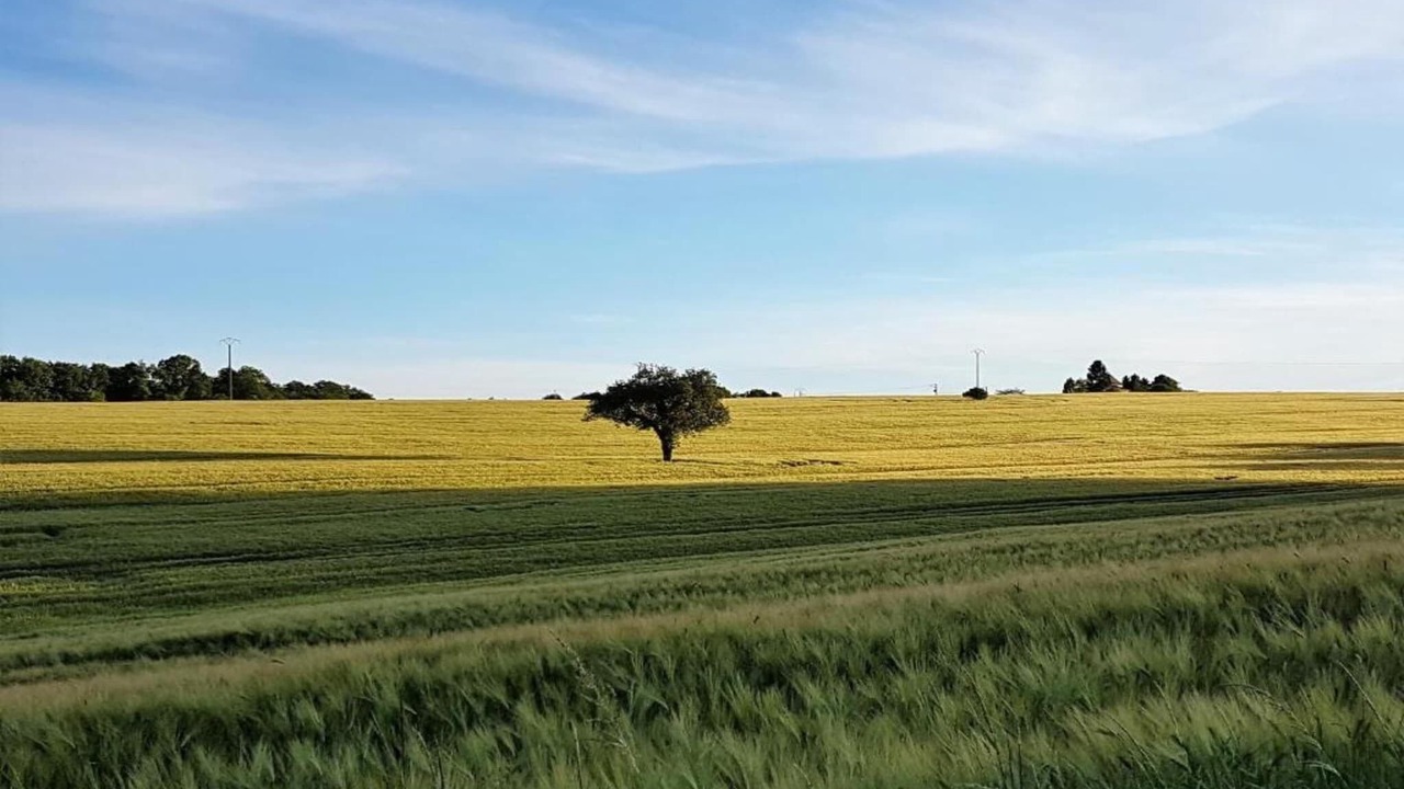 Photo of Others in Chalais