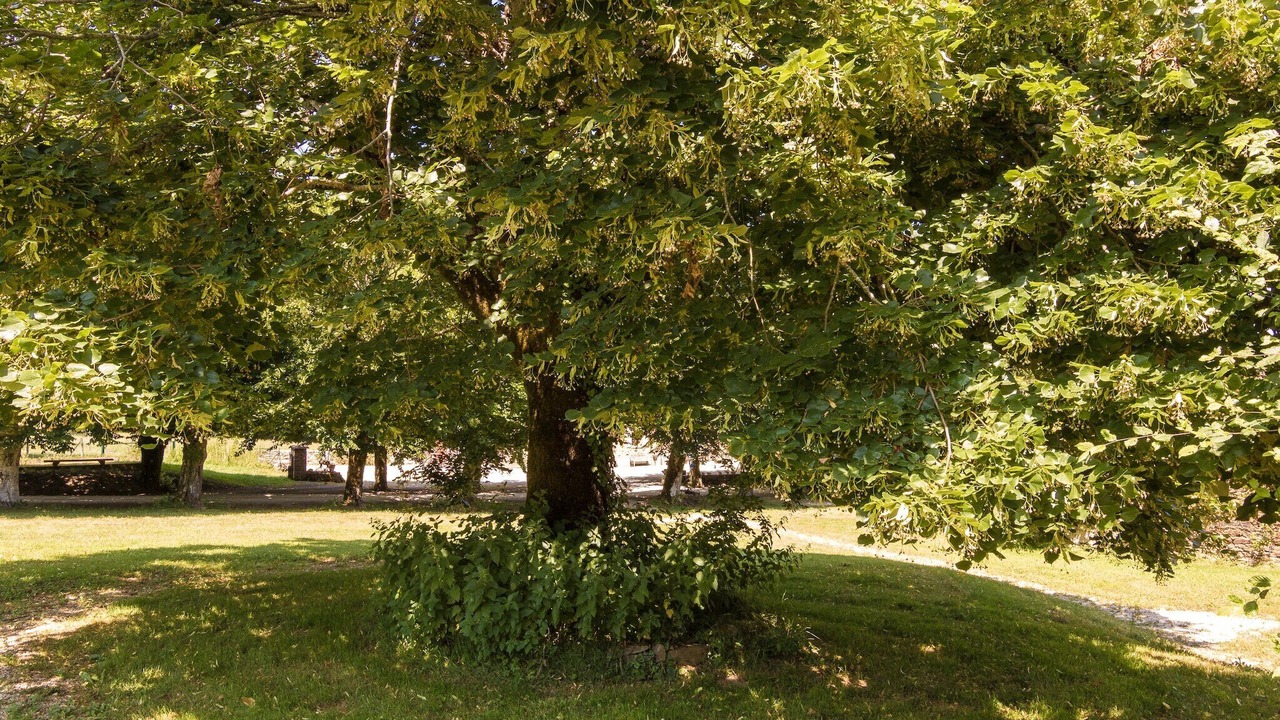 Photo of Outdoor in Chalais