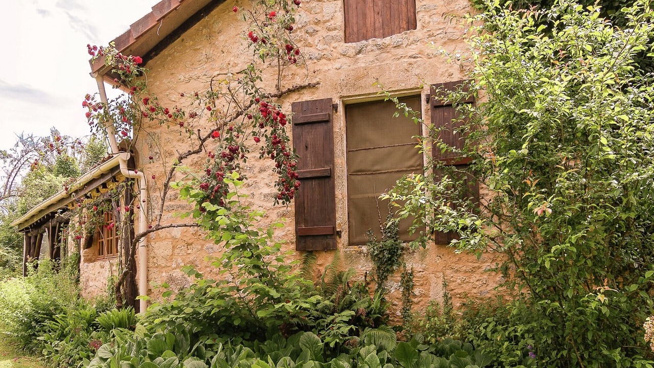 Photo of Outdoor in Les Eyzies