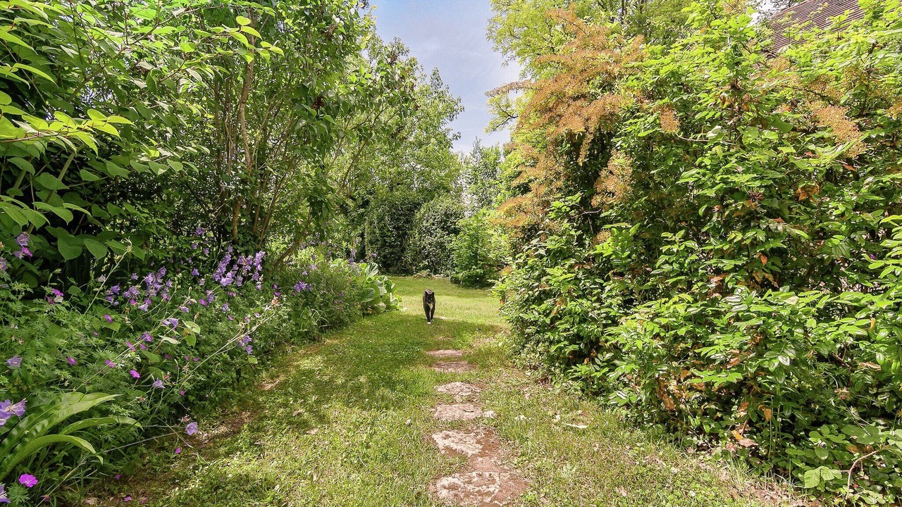 Photo of Outdoor in Les Eyzies