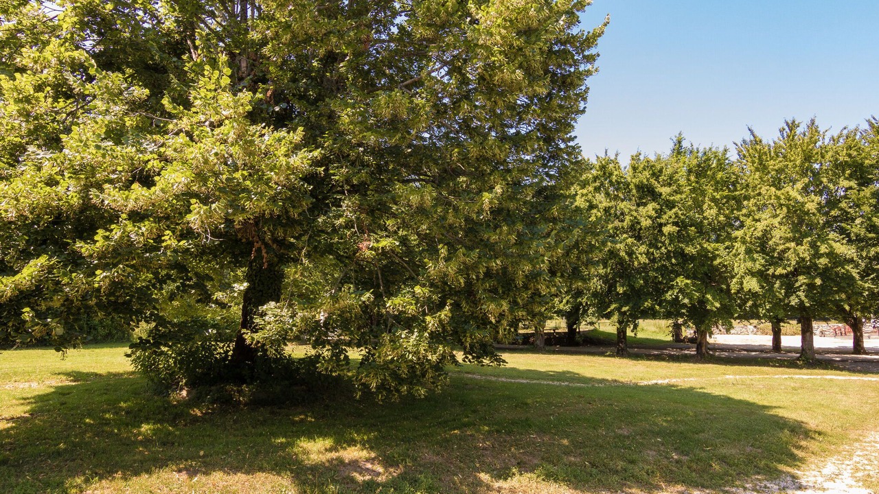 Photo of Outdoor in Chalais