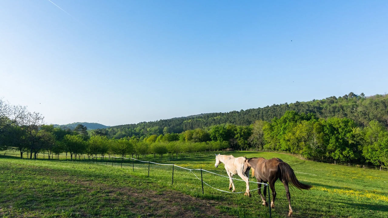 Photo of Outdoor in Mazeyrolles