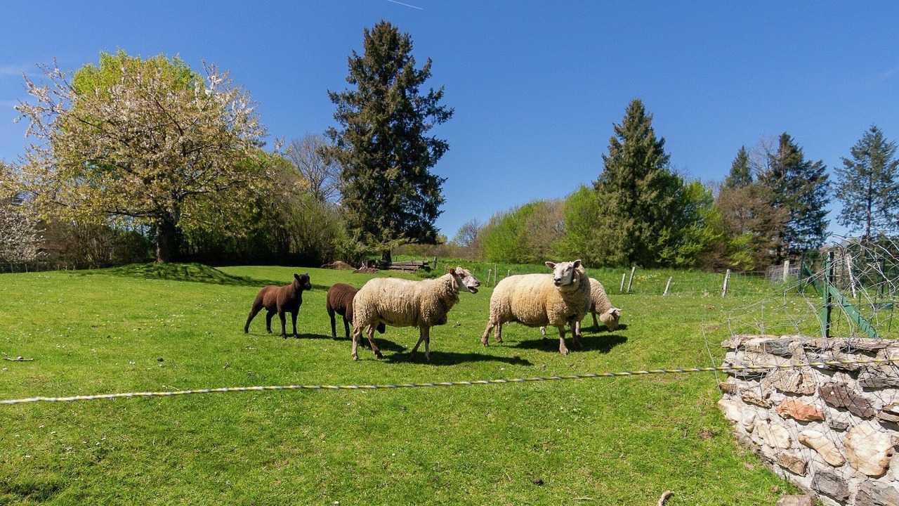 Photo of Outdoor in Savignac-Ledrier