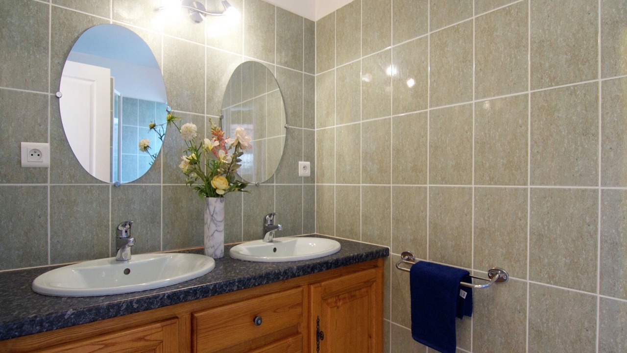 Photo of Bathroom in Savignac-Ledrier