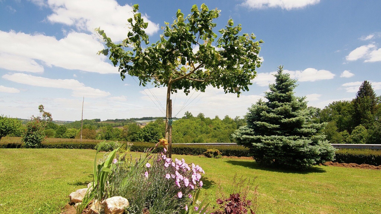 Photo of Outdoor in Savignac-Ledrier