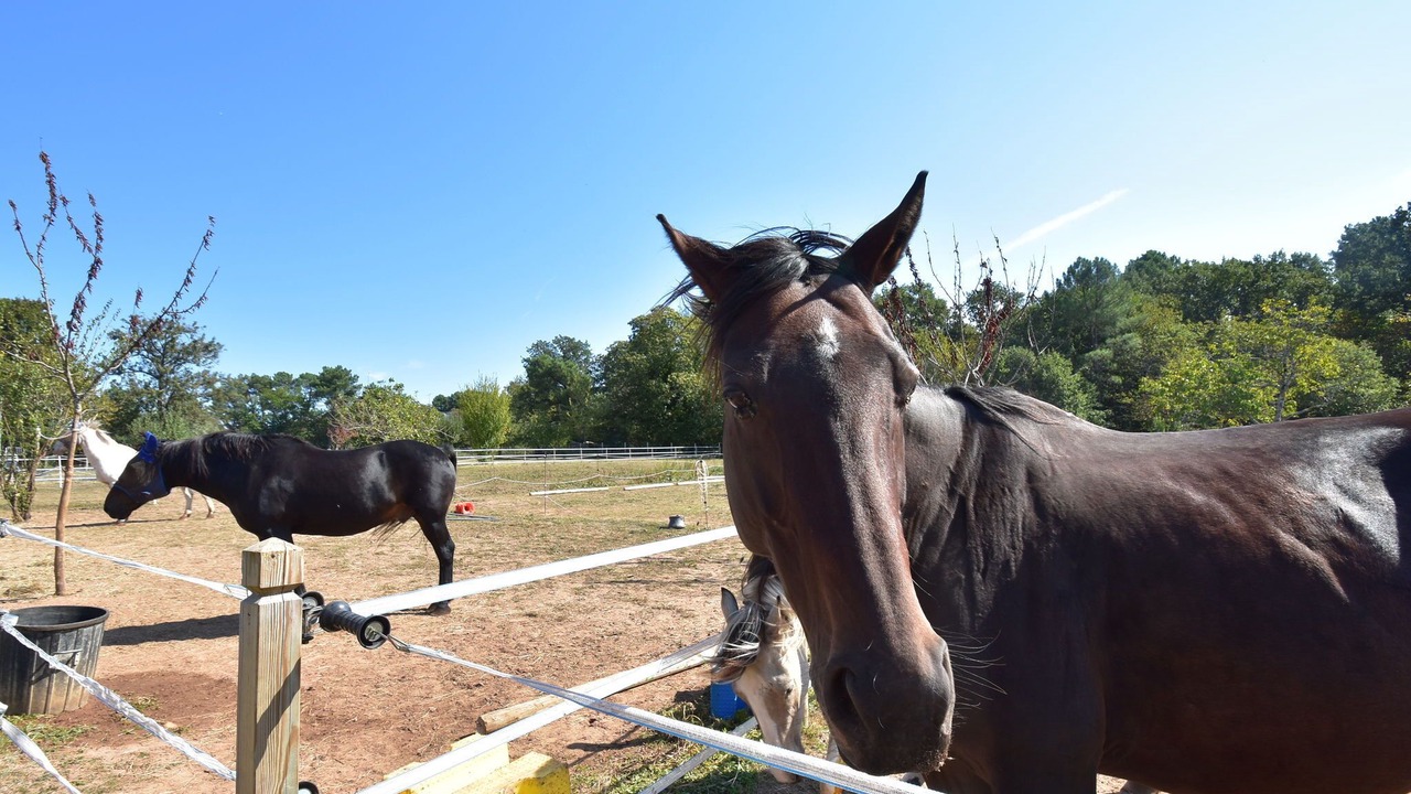Photo of Outdoor in Montferrand-du-Perigord