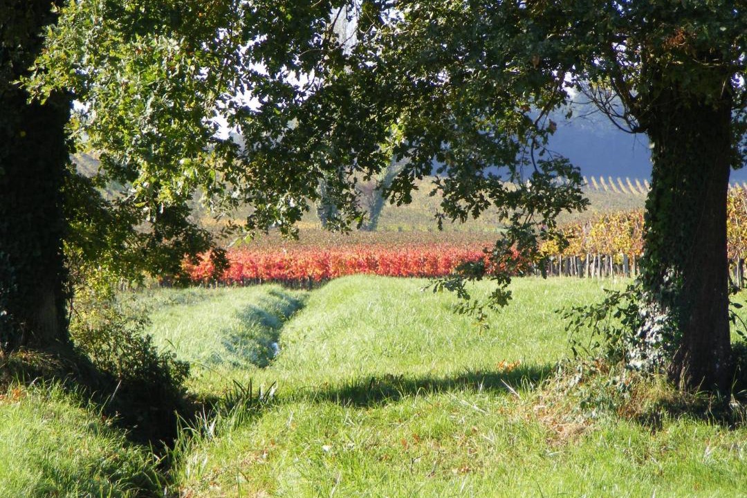 Photo of Others in Lugon-et-l'ile-du-Carney