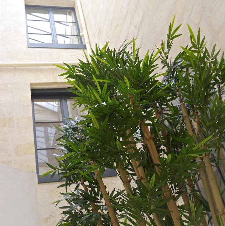 Photo of Buildings in Grand Parc-Paul Doumer