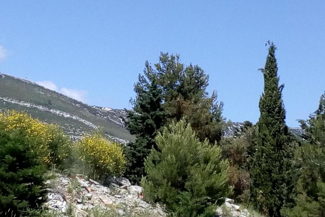 Photo of Outdoor in Rudine