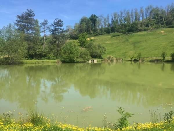Photo of Outdoor in Monein
