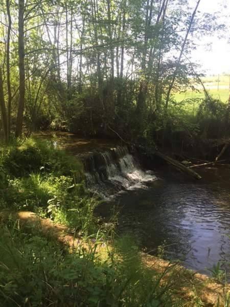 Photo of Outdoor in Monein