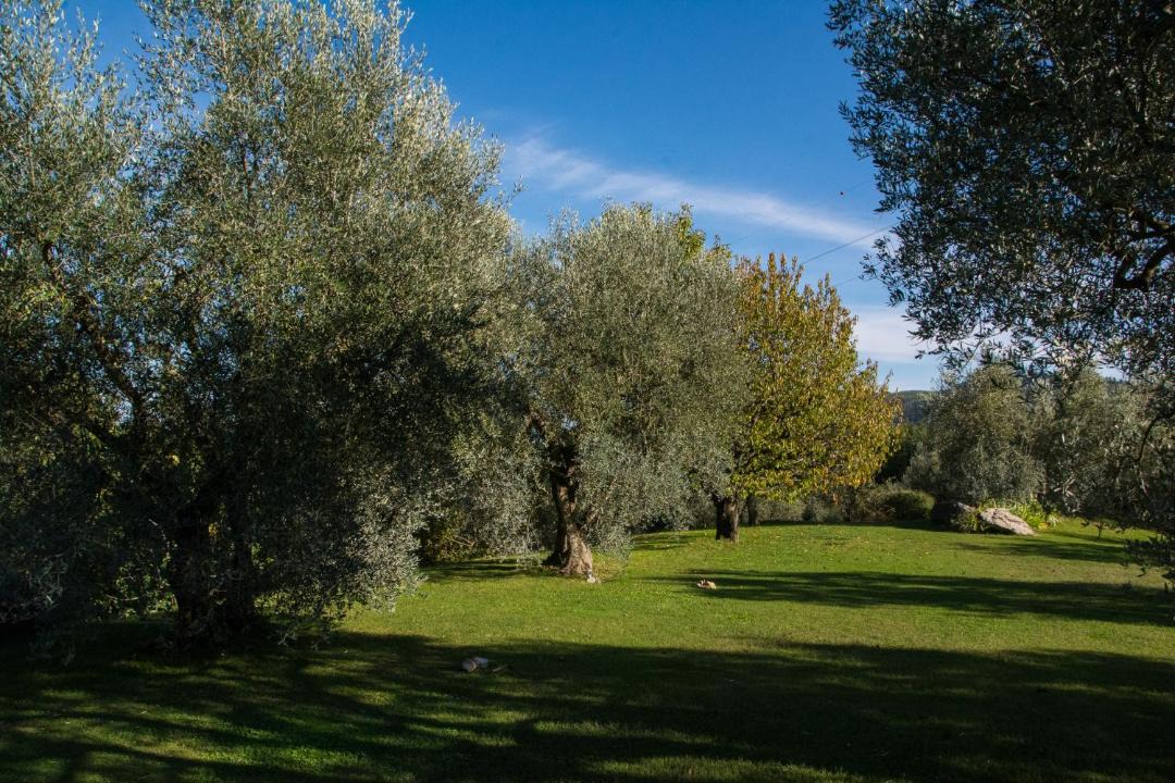 Photo of Others in Santa Cristina a Mezzana