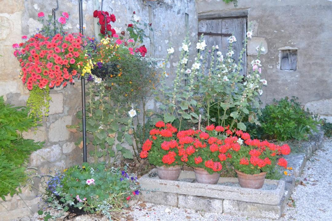 Photo of Others in Chef-Boutonne