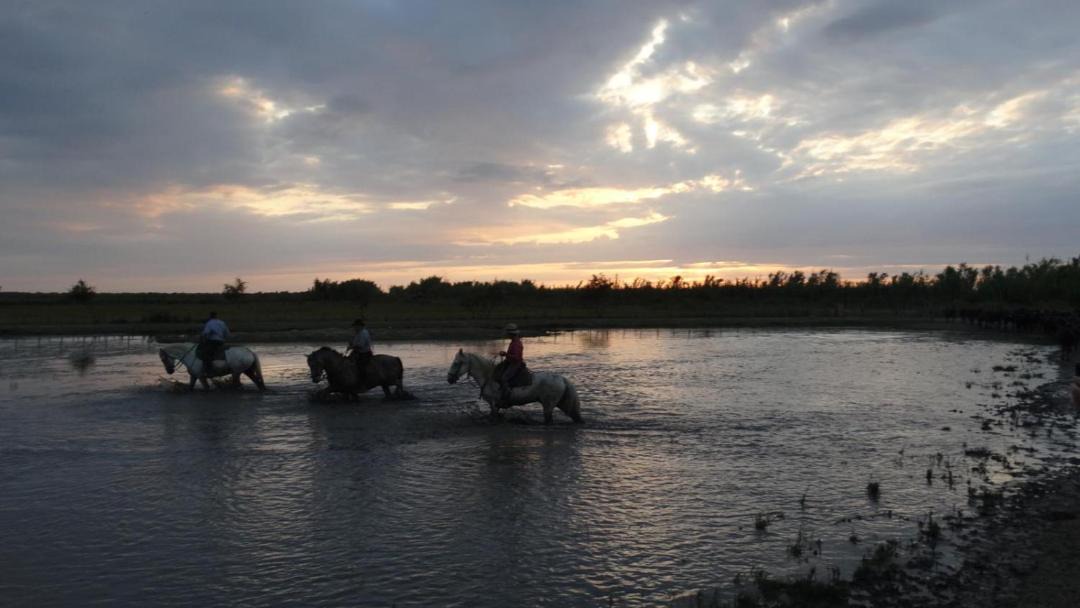 Photo of Others in Salin-de-Giraud