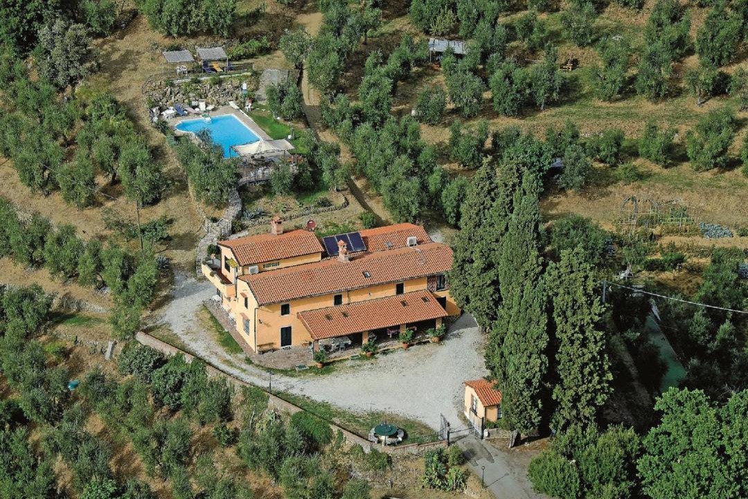 Photo of Others in Monsummano Terme