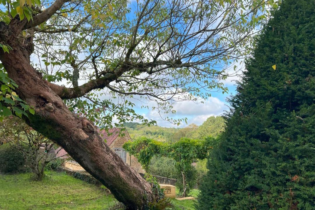 Photo of Outdoor in Sarlat-la-Caneda