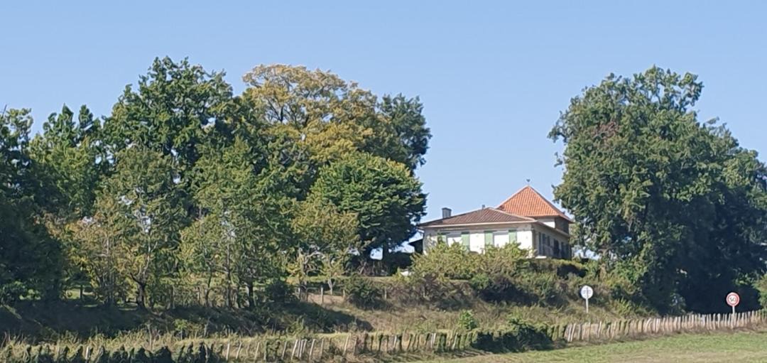 Photo of Buildings in Bonnes
