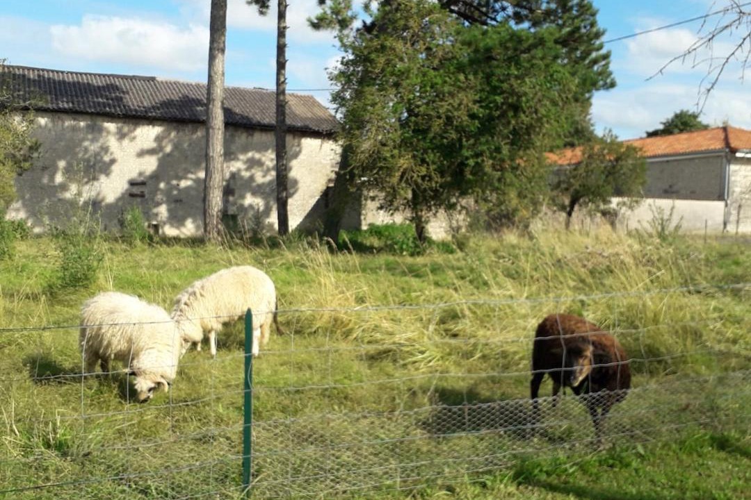 Photo of Others in Lagarde-sur-le-Ne