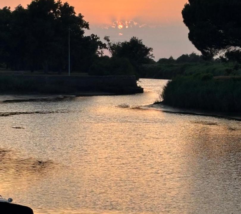 Photo of Others in Le Teich