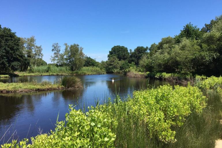 Photo of Others in Le Teich
