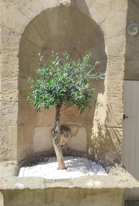 Photo of Others in Capucins - Victoire