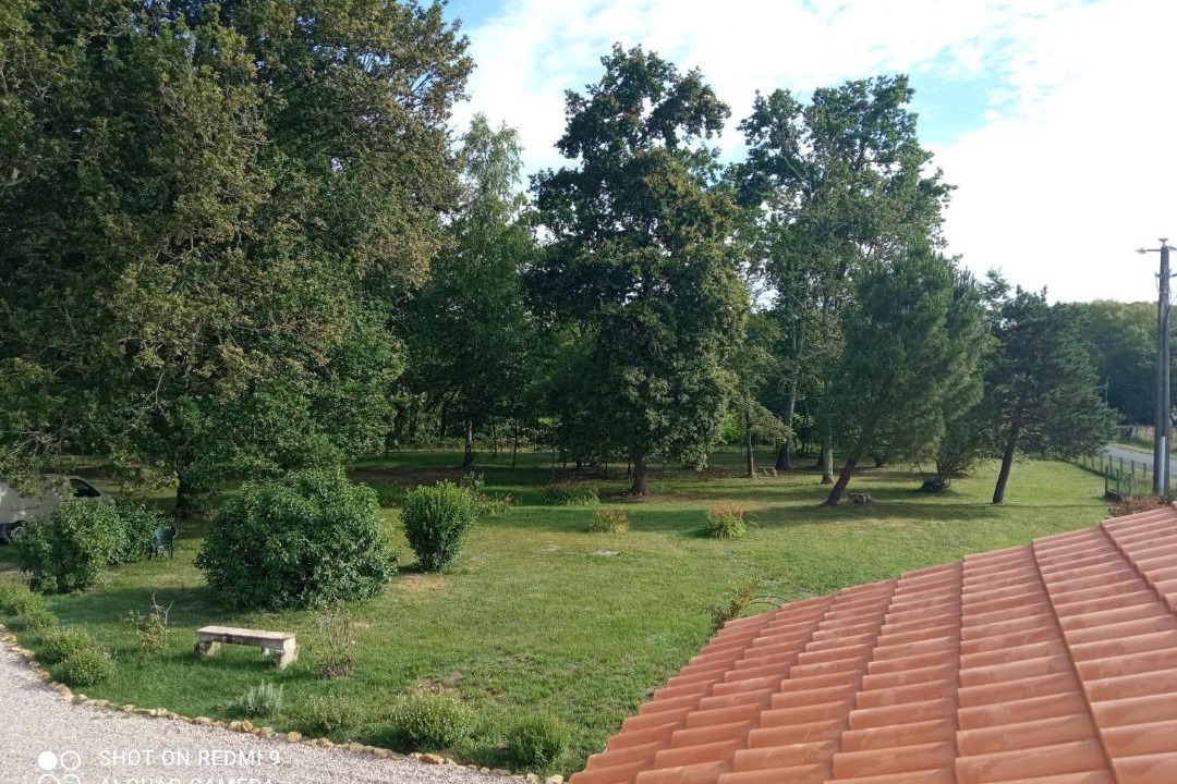 Photo of Others in Lesparre-Medoc