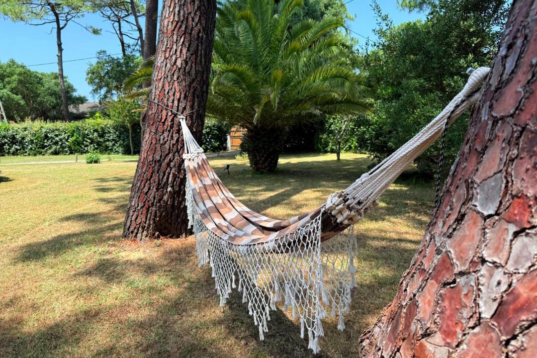 Photo of Outdoor in Labenne-Ocean