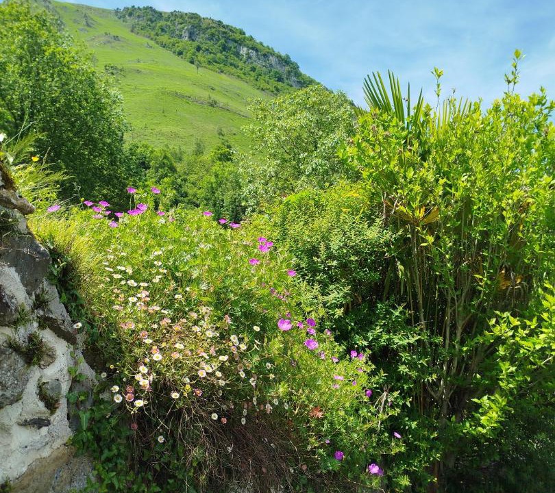 Photo of Outdoor in Gere-Belesten