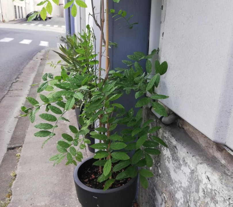 Photo of Outdoor in Archiac
