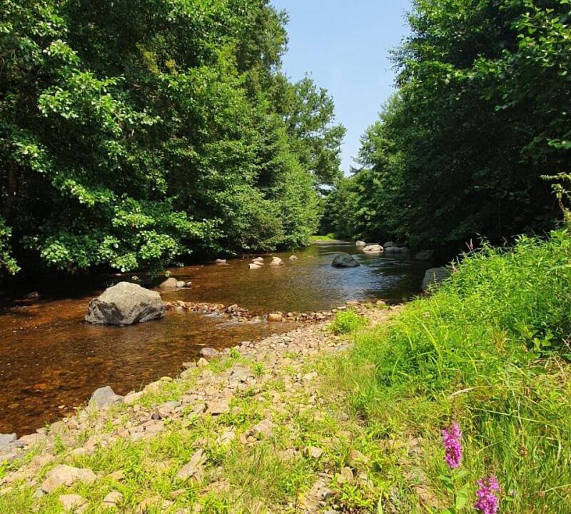 Photo of Others in Saint-Pardoux-la-Riviere