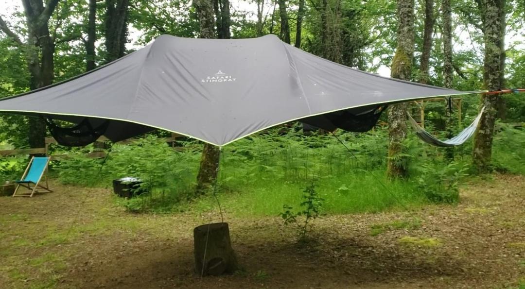 Photo of Outdoor in Friaudour