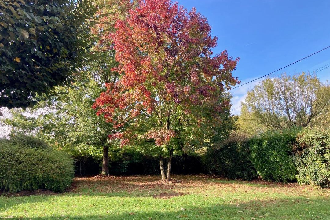 Photo of Outdoor in Nousty