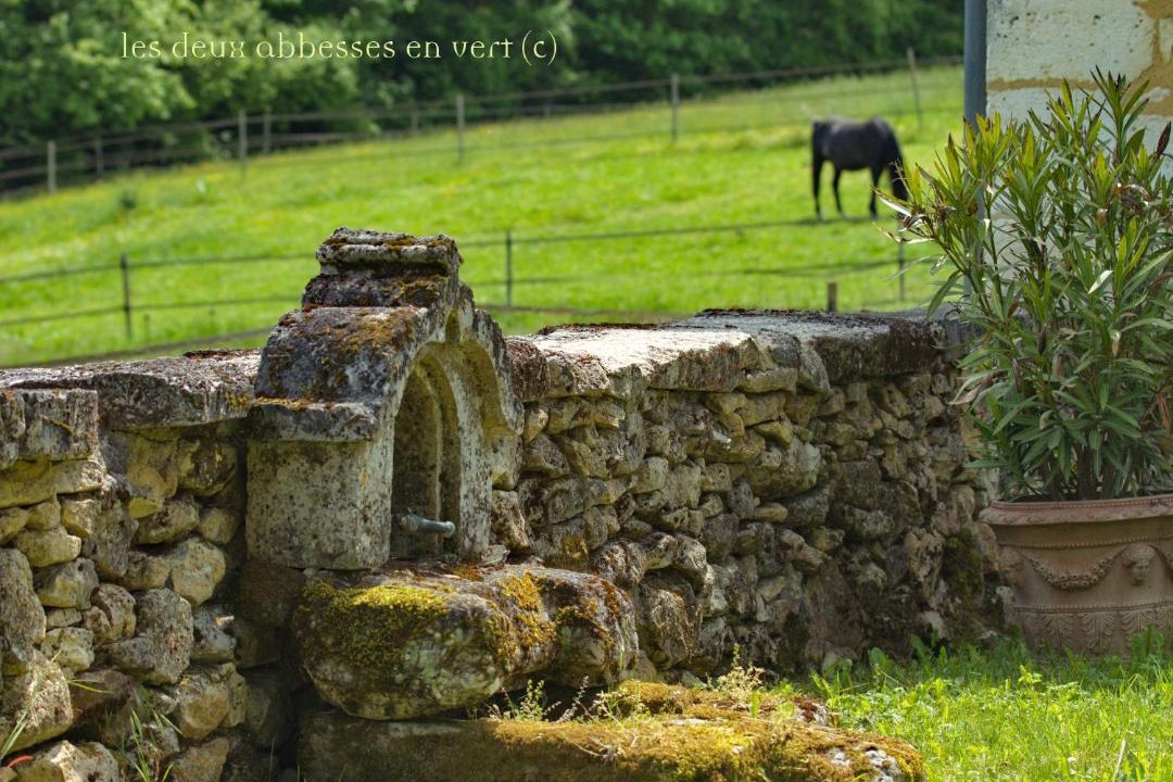 Photo of Others in Mareuil en Perigord