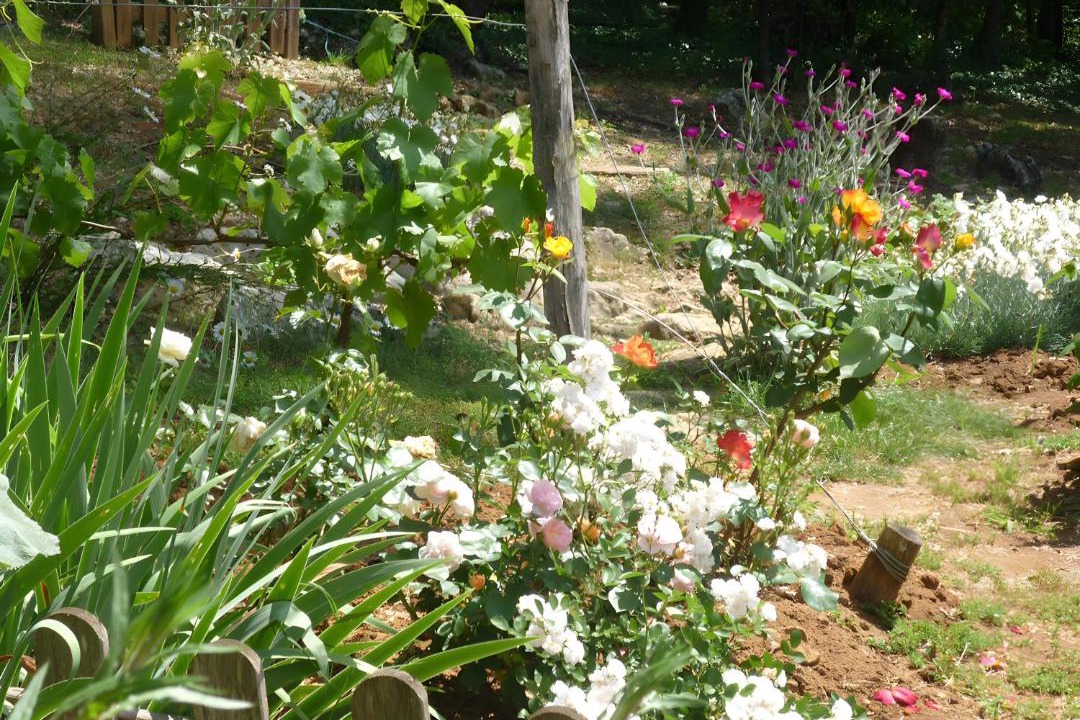 Photo of Others in Carsac-Aillac