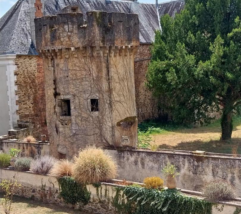 Photo of Others in Saint-Victurnien