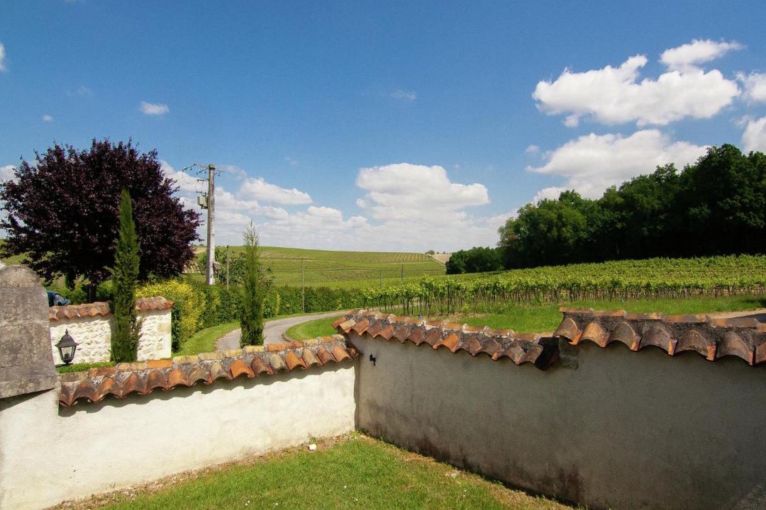 Photo of Others in Saint-Preuil