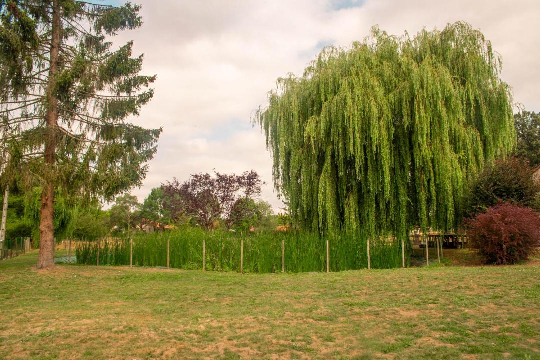 Photo of Outdoor in Les Aubiers