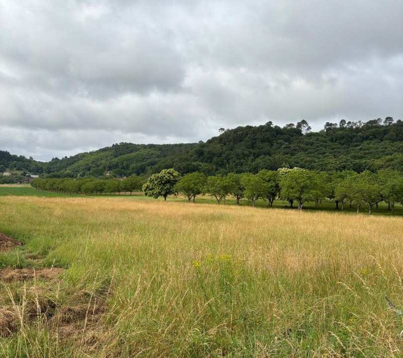 Photo of Others in Calviac-en-Perigord