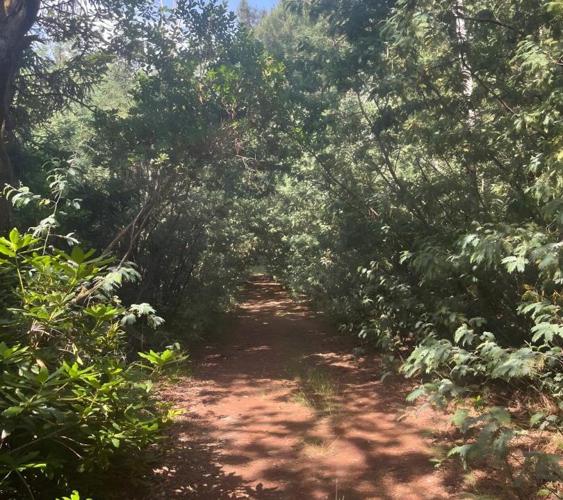 Photo of Outdoor in Merignac