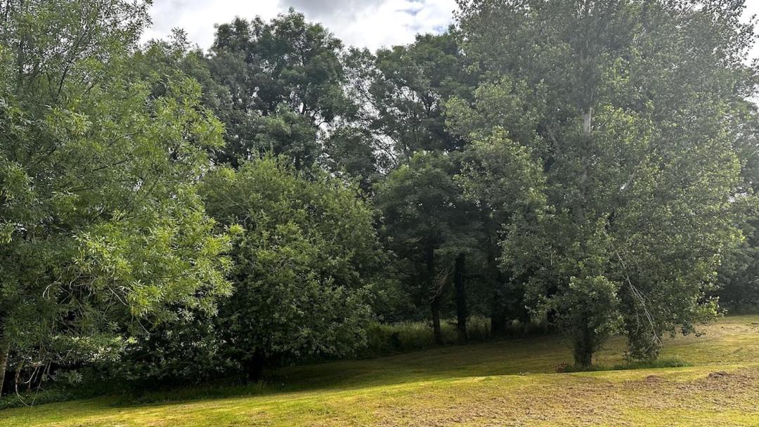 Photo of Outdoor in Roumagne