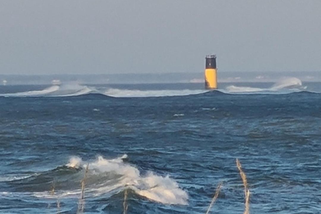 Photo of Others in Saint-Denis-d'Oleron