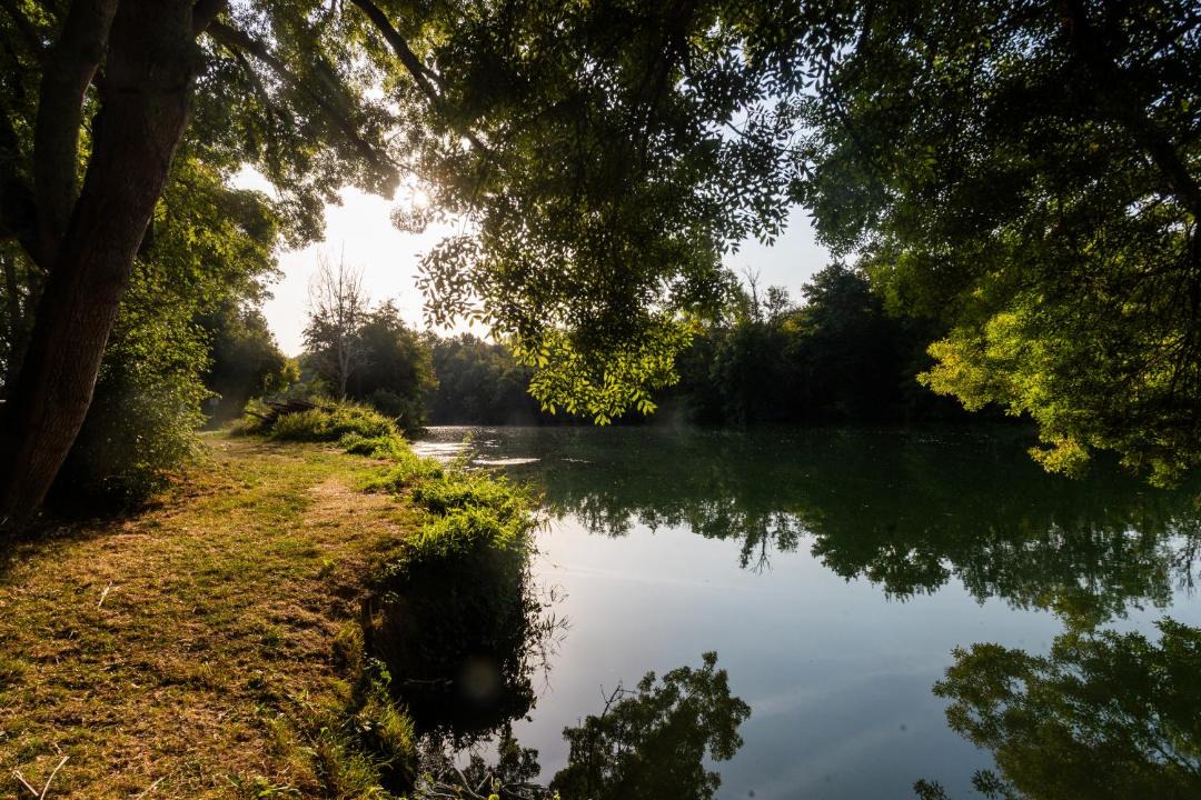 Photo of Others in Jarnac
