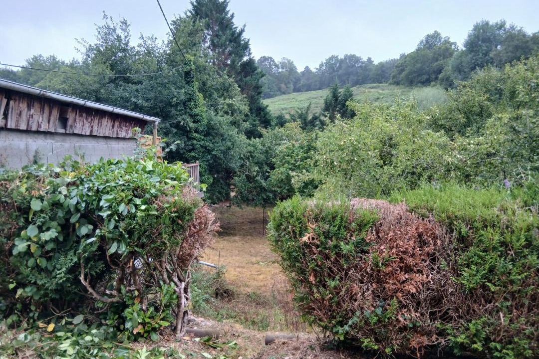 Photo of Others in Boulazac-Isle-Manoire