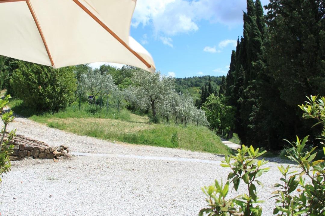 Photo of Others in Sesto Fiorentino