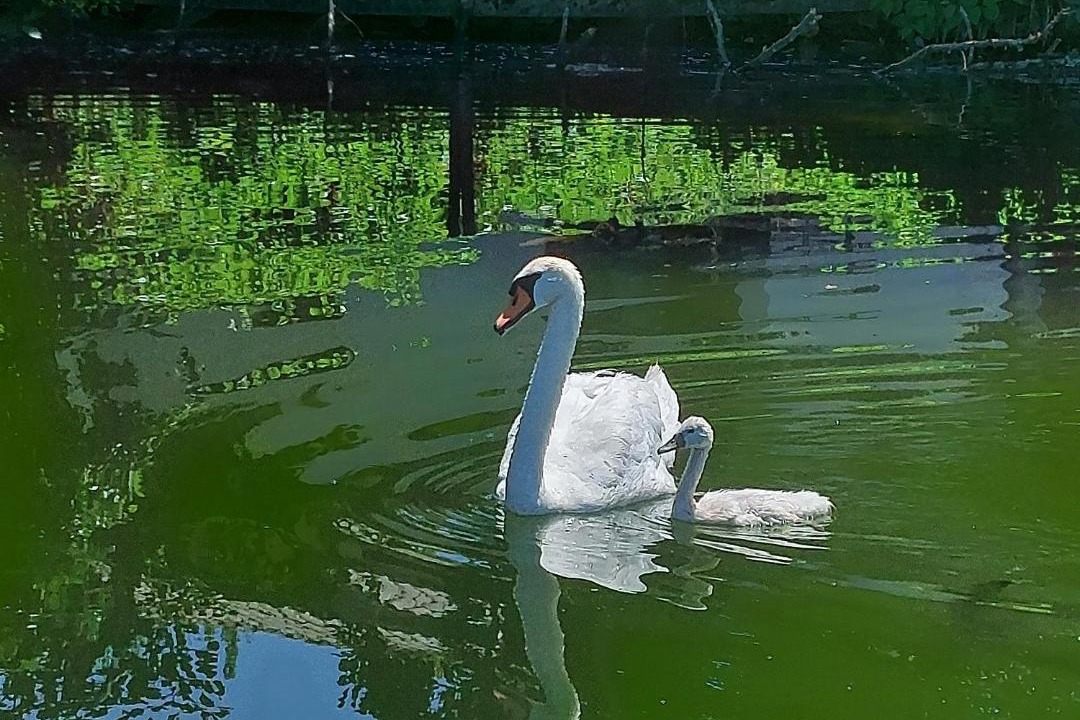 Photo of Others in Villeneuve-sur-Lot